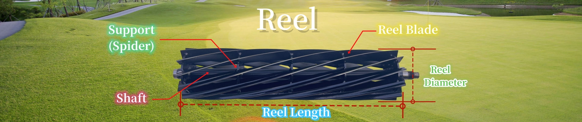 Reels